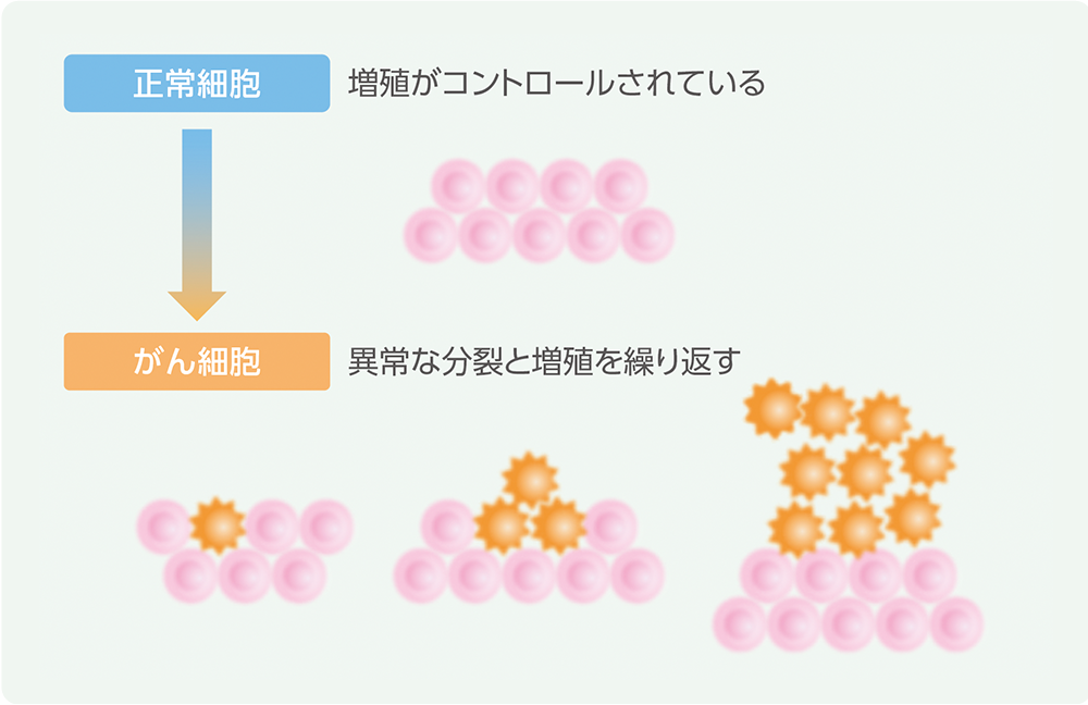 がん細胞の増殖のイメージ