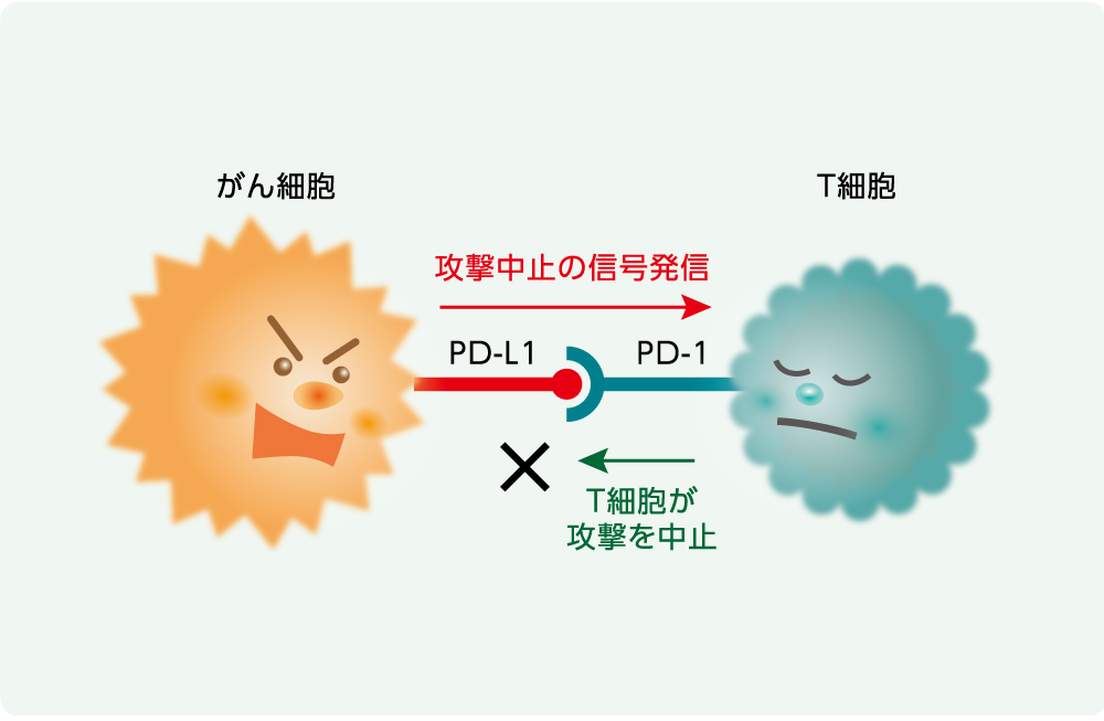 がんが免疫機能にブレーキをかける仕組みのイメージ