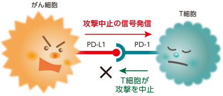 がんが免疫機能にブレーキをかける仕組みのイメージ