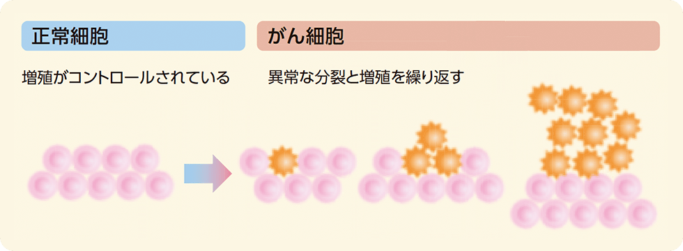 がん細胞の増殖のイメージ