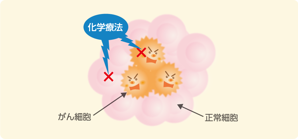 化学療法の作用のイメージ