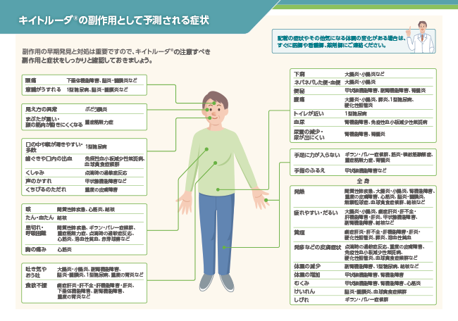 キイトルーダ®の副作用として予測される症状のイラスト