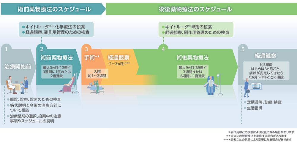 術前・術後薬物療法のスケジュールのイメージ